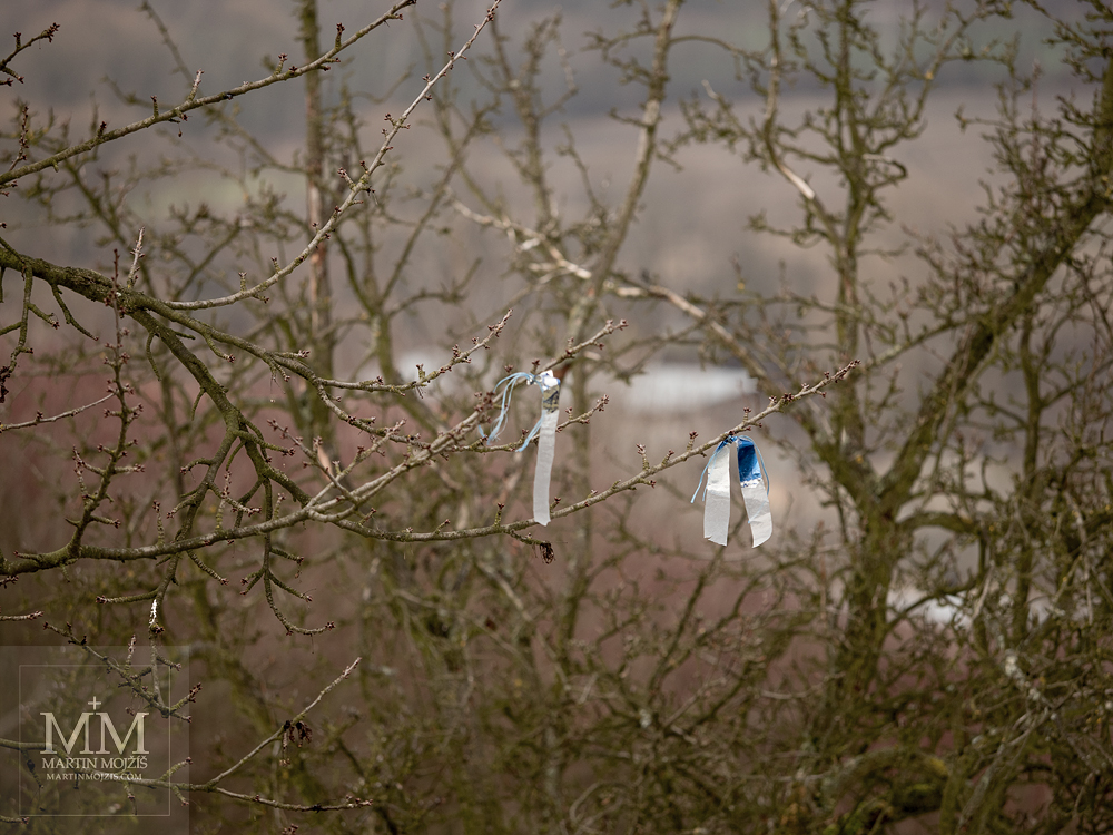 Proužky plastové folie připevněné k větvičkám stromu. Fotografie vytvořená objektivem Olympus M. Zuiko digital ED 40 - 150 mm 1:2.8 PRO.